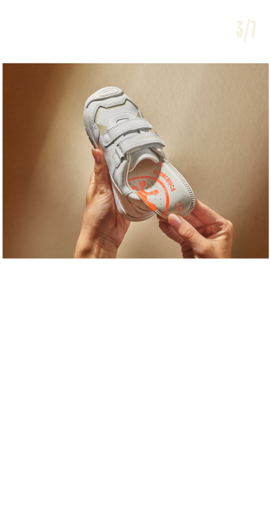 Mesa de trabajo 42 copia 16@1.5x