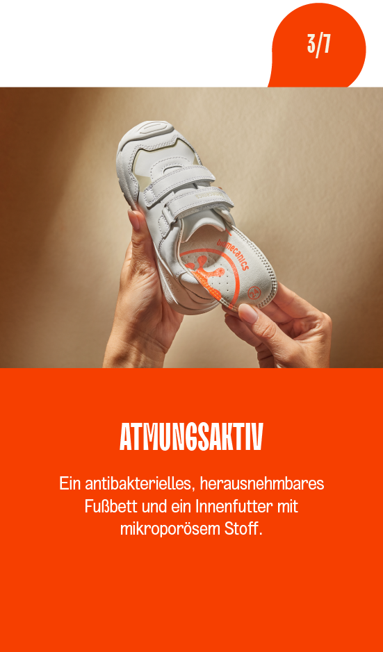 Mesa de trabajo 42 copia 37@1.5x